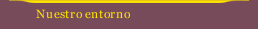 Nuestro entorno